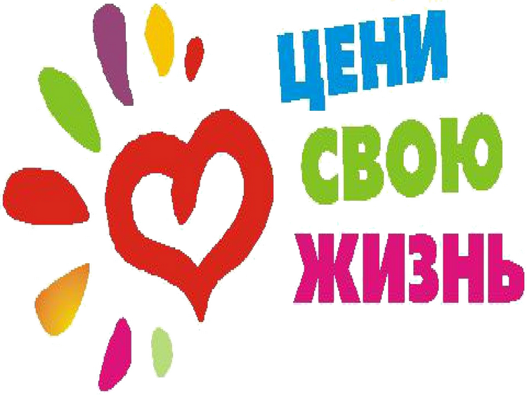 цени жизнь