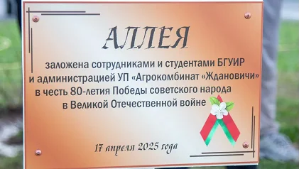 На территории общежития БГУИР появилась памятная яблоневая аллея