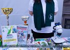 BPSL0234BPSL0234
