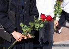 BPSL9678BPSL9678